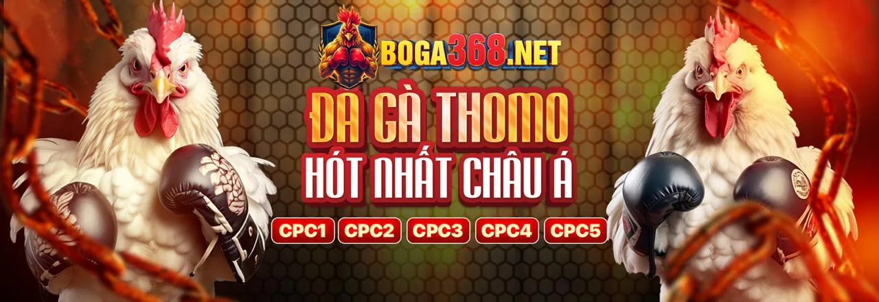 Giấy phép hoạt động VN68 Club